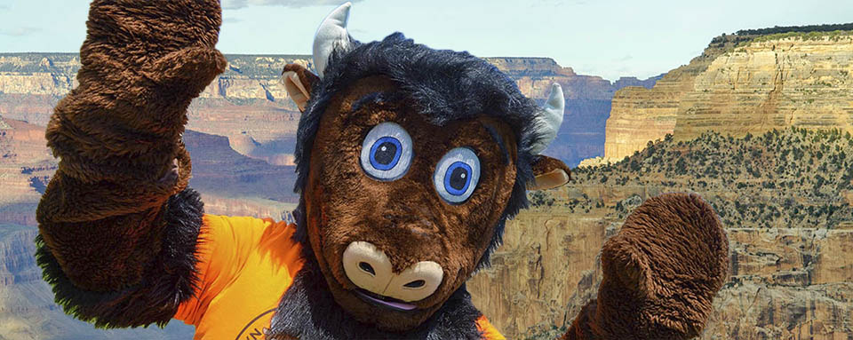 person in a bison costume raising both front paws in front of canyon landscape