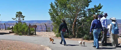 Dog-Walkers-on-paved-rim-trail
