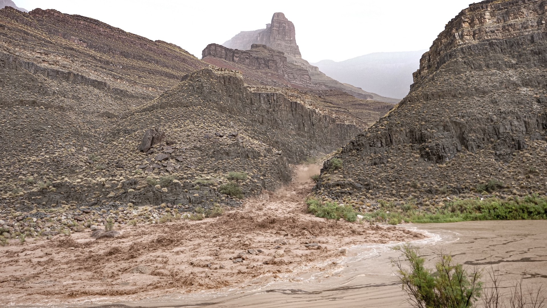 A dark brown torrent of water comes crashing through a narrow side canyon into the Colorado River