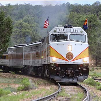 diesel locomotive with red and yellow trim is pulling a passenger train around a curved section of track.