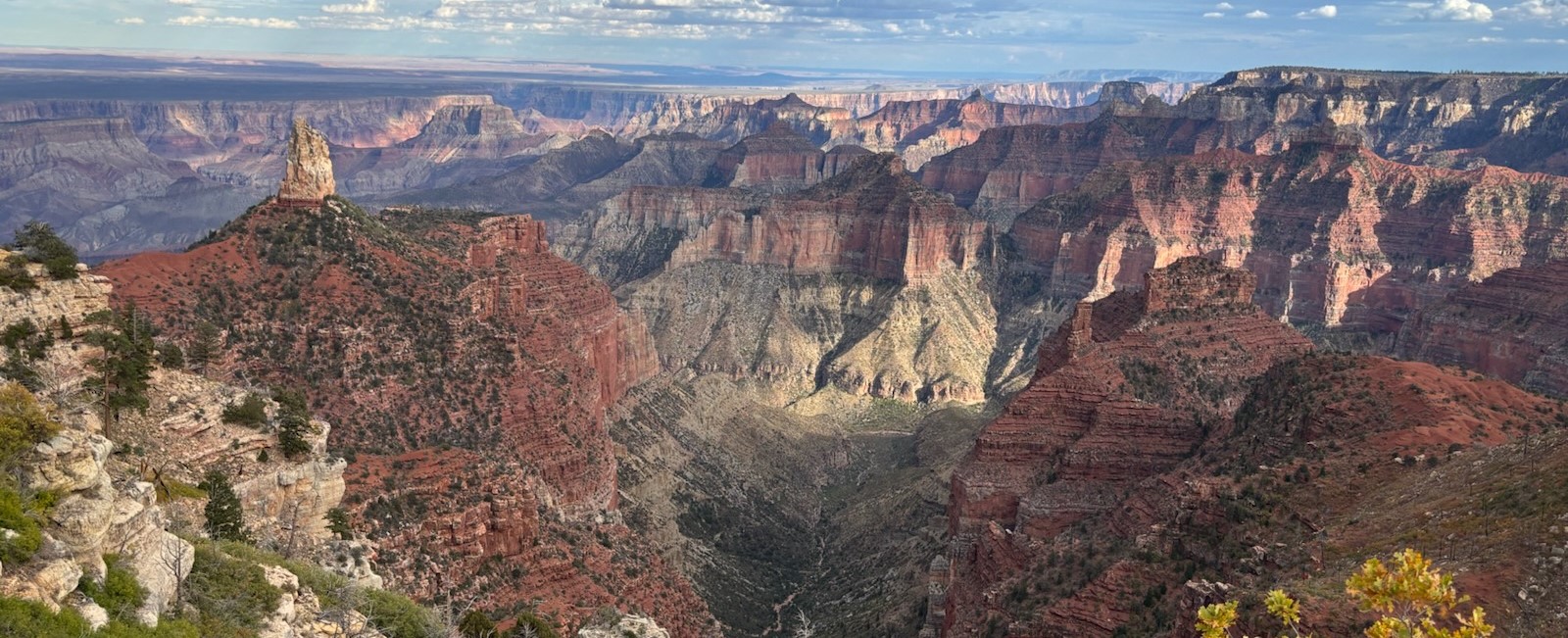 A canyon view with numerous temples and spires