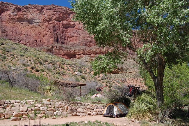 Campsites amidst tall trees and steep canyon walls