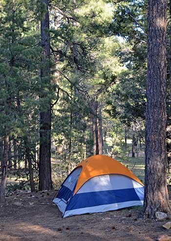 Buy camping hook up