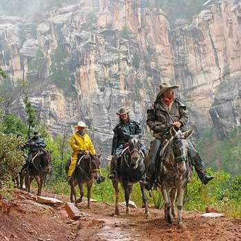 It is raining. A nicely dressed wrangler in western clothes is leading several visitors on a mule trip. In the background, a sheer cliff wall.