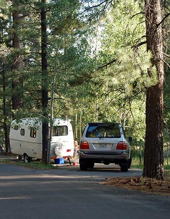 Car parked facing in a pull-through campsite detached from a small, white, rounded trailer.