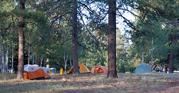 a group campsite with a number of colorful tents under tall pine trees. A group of people are sitting at a picnic table on the far right.