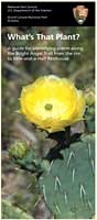 cover of Bright Angel Trail Plant Identification Guide