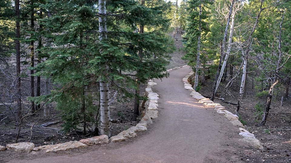 an hard-packed dirt path with rock lining on either side, winding through a forested area.