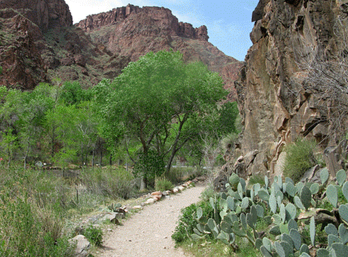 Slideshow of various scenes of cabins and nature at Phantom Ranch.