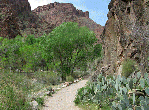 Slideshow of various scenes of cabins and nature at Phantom Ranch including: rustic stone and wood cabins. hiker dormitories, Mule riders below cottonwood trees, trail beneath cliffs leading to ranch, hitching post, benches by cabins.