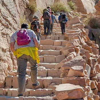 a family with several children are climbing a steep section of trail made of stone steps