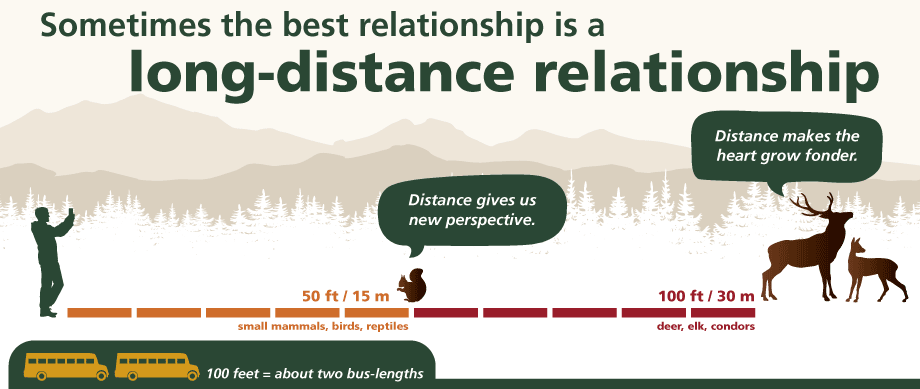 Graphic showing correct viewing distance for small and large animals; text: "Sometimes the best relationship is a long-distance relationship" Graphic showing correct viewing distance for small and large animals; text: "Sometimes the best relationship is a long-distance relationship"