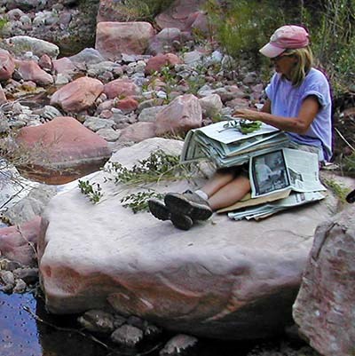 Botany research happening at Grand Canyon National Park.