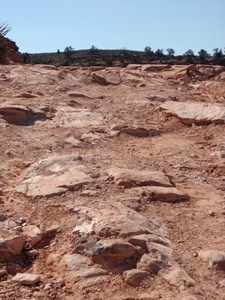 Tuweep Road August 2012