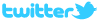 twitter_logo_withbird_blue