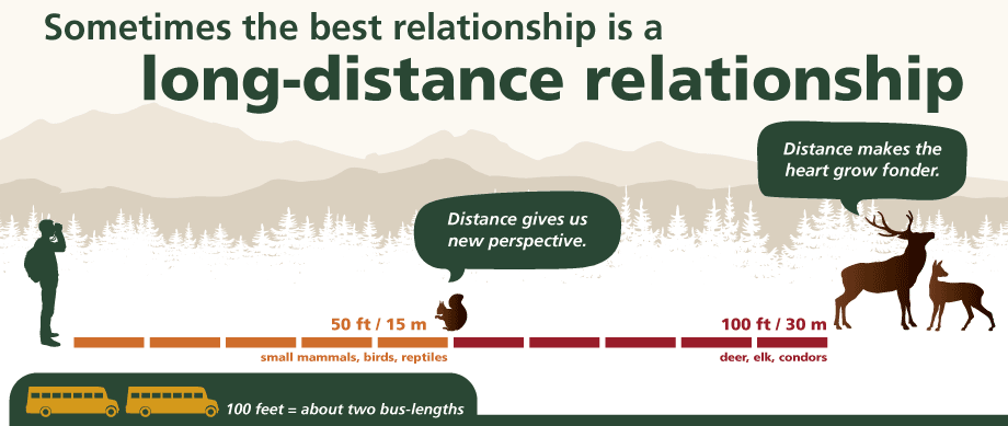 short essay about long distance relationship