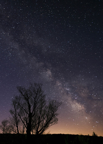 Photo of the night sky