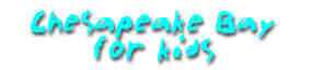 Chesapeake Bay for kids insignia