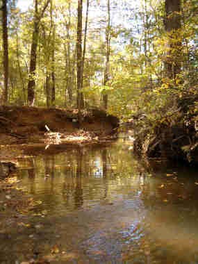 a picture of Still Creek a picture of Still Creek