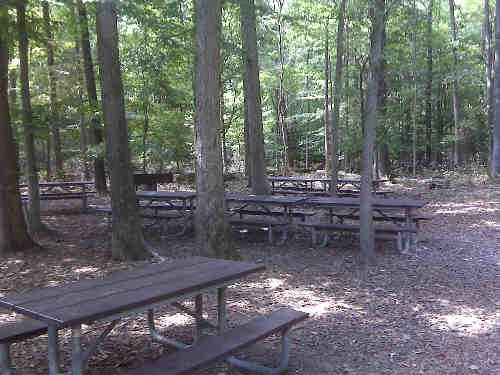a picture of the Laurel Picnic Area