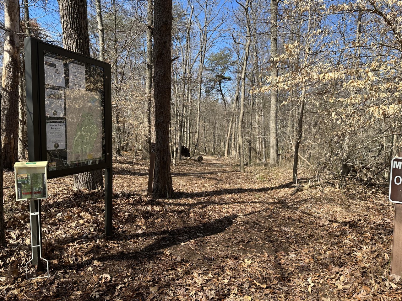 Azalea Trail in Greenbelt Park