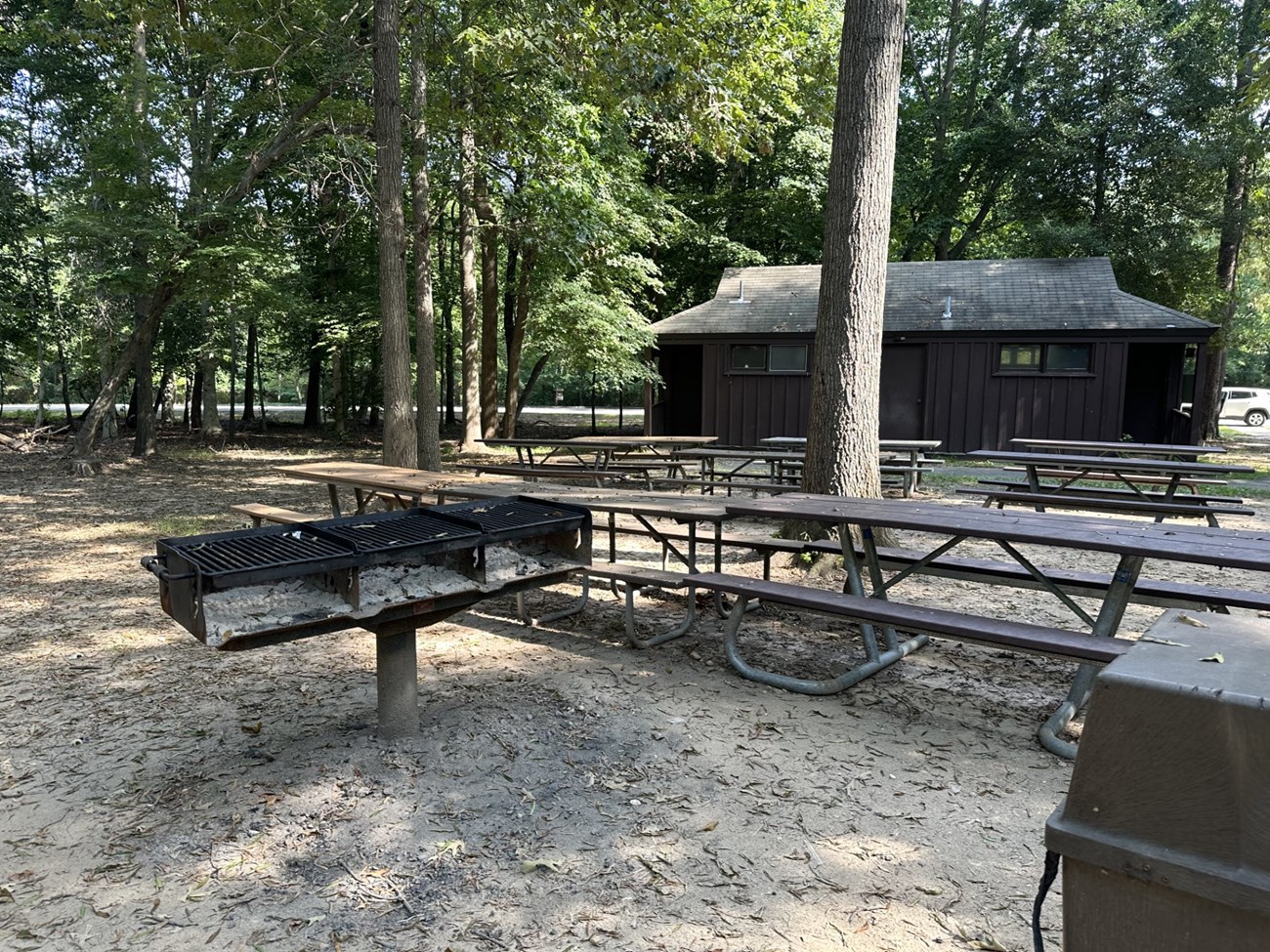 Grills and picnic tables in a forest setting