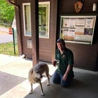 Dog at the ranger station