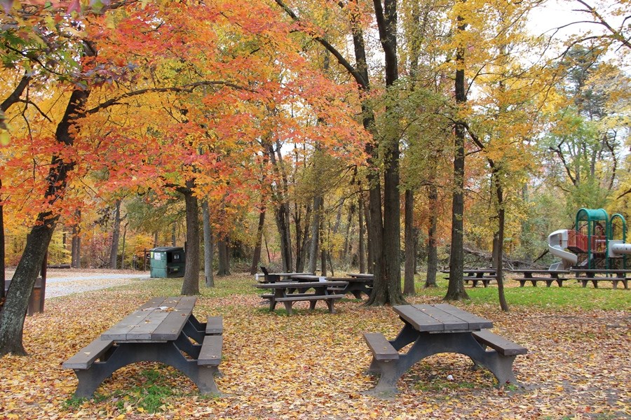 Sweetgum Picnic Area