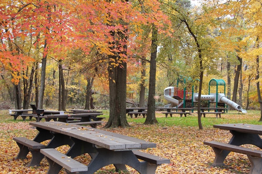 Fall colors in the Sweetgum Picnic Area
