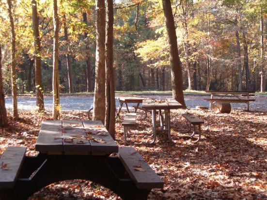a picture of the Holly picnic area