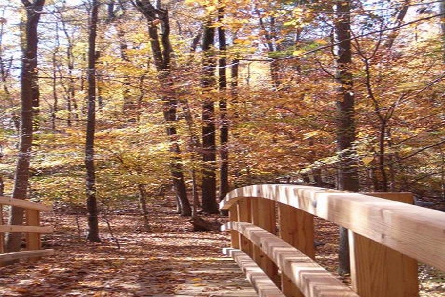 bridge in Fall colors