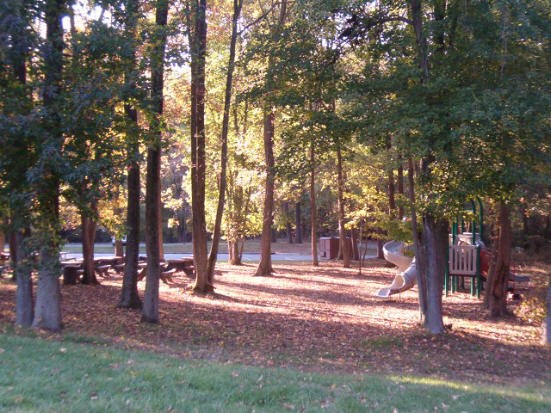 a picture of the Sweetgum Picnic area