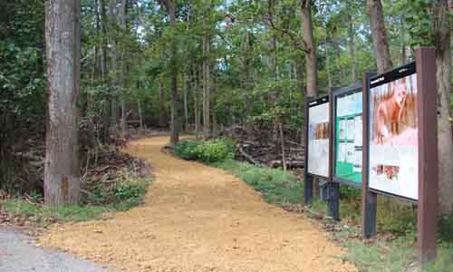 Dogwood trail in Greenbelt Park, Maryland