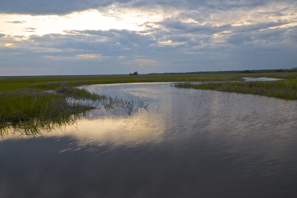 The Great Egg Harbor River winding through the New Jersey Pinelands.