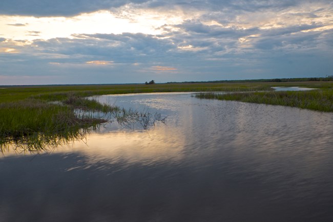 A curving river flows through a wetlands in summertime.