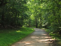 The Carriage Road trail on a nice summer day.