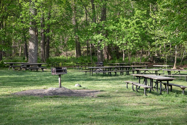 A charcoal grill in a grassy field surrounded by picnic tables.