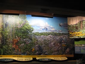 Photo of a new exhibit in the Visitor Center