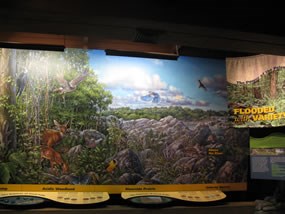 Photo of a new exhibit in the Visitor Center Photo of a new exhibit in the Visitor Center