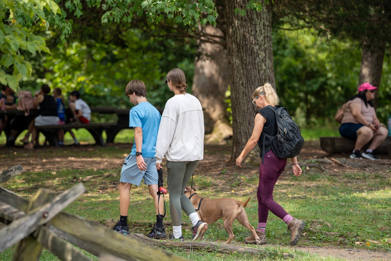 a group of three walks an on-leash dog on trail