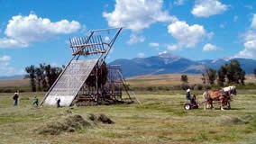 Volunteers helping with historic haying demonstrations using the Beaverslide haystacker.