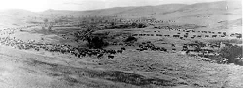 Open Range - Grant-Kohrs Ranch National Historic Site (U.S. National Park  Service)