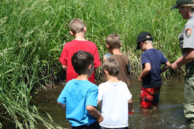 Children explore cottonwood creek during a Summer Explorer Program Children explore cottonwood creek during a Summer Explorer Program