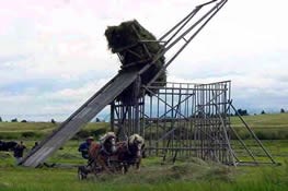Beaverslide hay stacker in operation. Beaverslide hay stacker in operation.