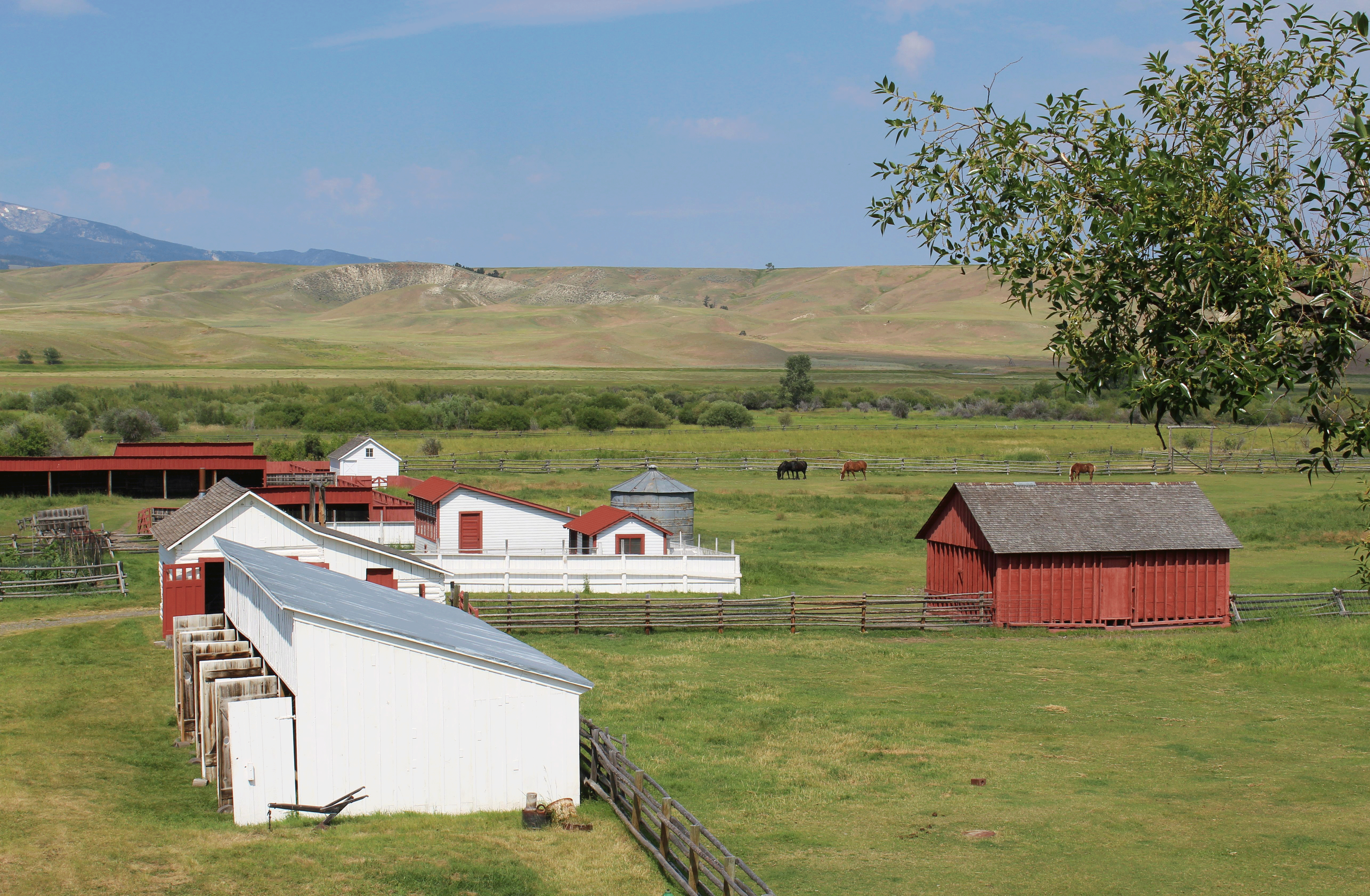 View of barns and outbuildings from the second floor of the ranch house.  Horses graze in the pasture.