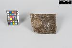 Copper Kettle and Lug Fragment - GRPO 6058