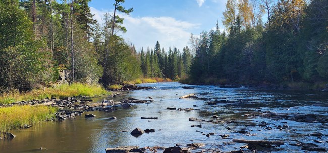 A rocky river cutting through a forest.