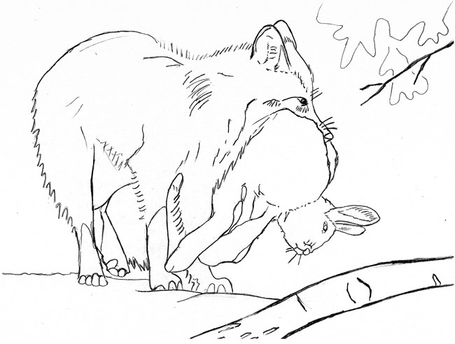 Line drawing of a fox holding a hare in its mouth.