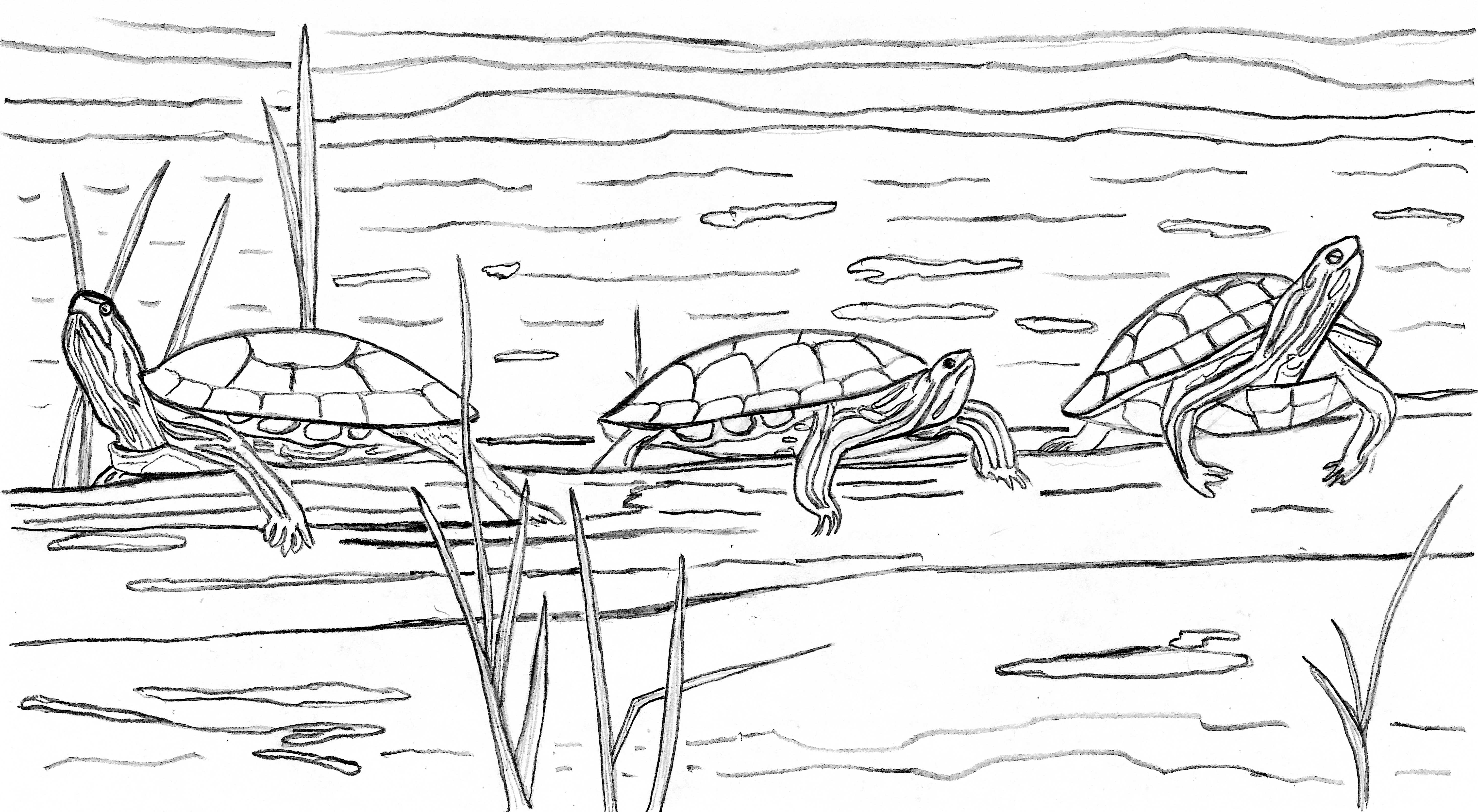 Coloring Pages - Grand Portage National Monument (. National Park Service) Coloring Pages - Grand Portage National Monument (. National Park Service)