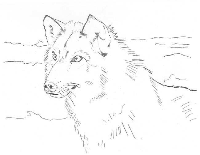 coloring pages grand portage national monument u s national park service